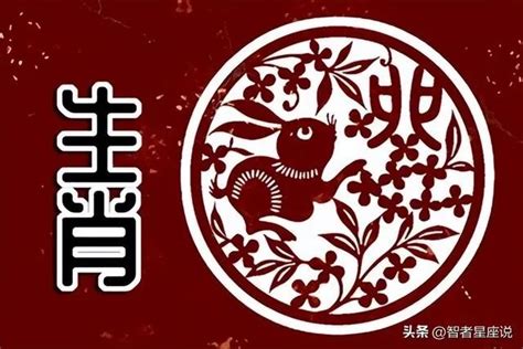 2023屬兔寶寶|【2023 兔寶寶】兔寶寶好運來！2023適合生兔寶寶的父母生肖，。